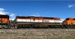 BCOL 4607